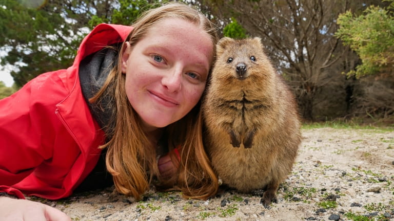 Quokka Habitat