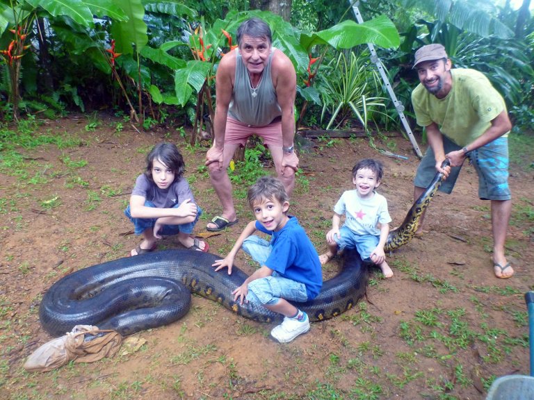 Giant Green Anaconda caught