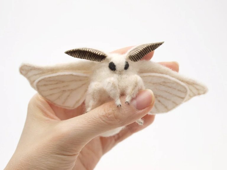 where can I buy a venezuelan poodle moth?