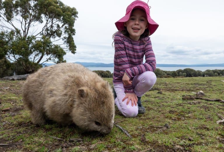 Wombat with child!