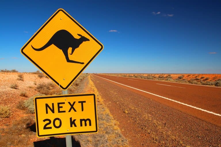 kangaroo road signs in Australia