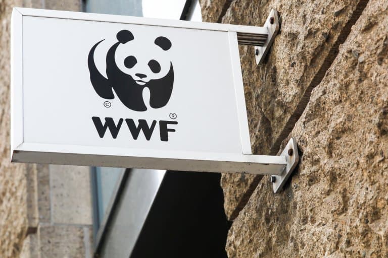 Giant Panda on WWF logo