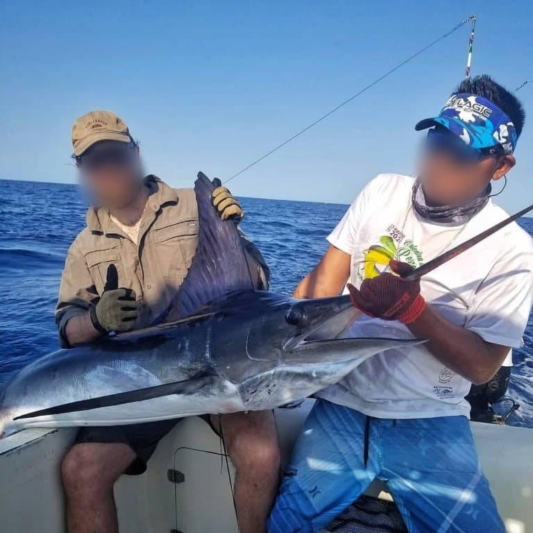 Black Marlin Caught