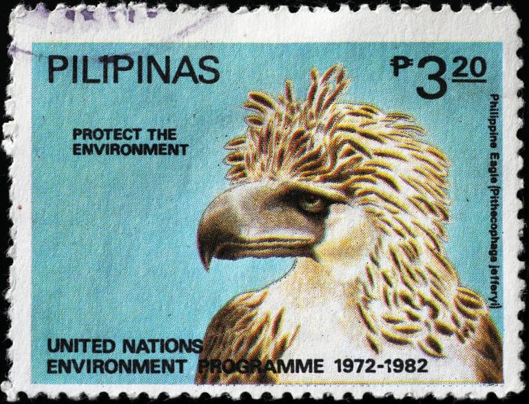 The Philippine Eagle on a stamp