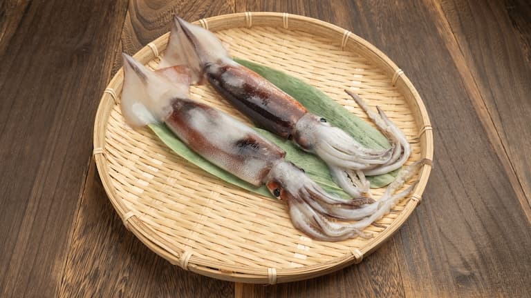 Tasty squid sperm