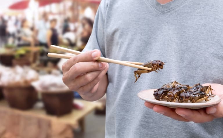 Man holding cricket with chopsticks in Thailand