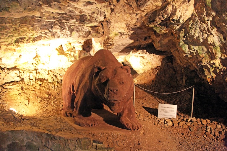 cave bear in a cave