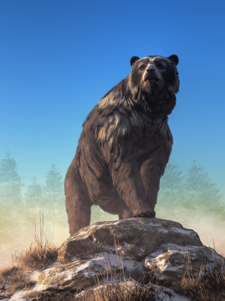 cave bear on a rock