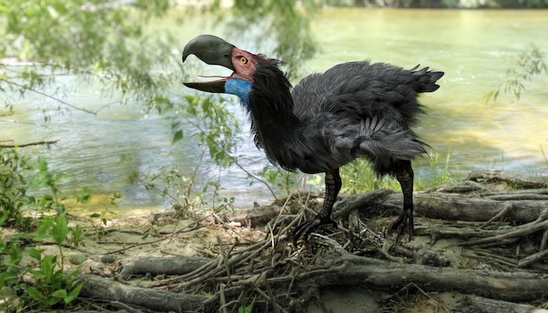 terror bird beak open