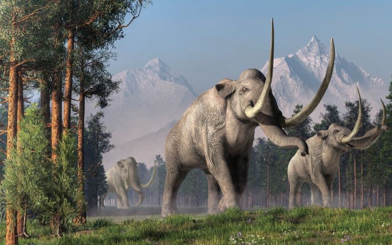Columbian Mammoth herd