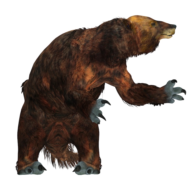 megatherium claws