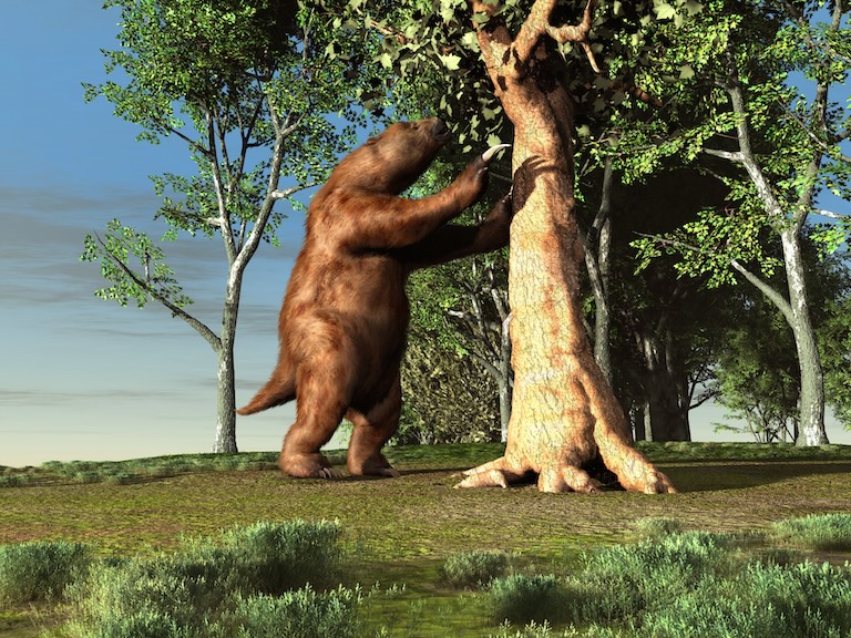 megatherium feeding
