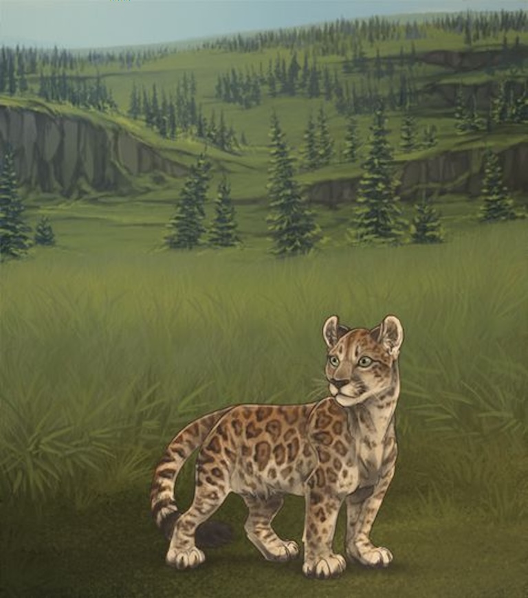 pumapard in forest