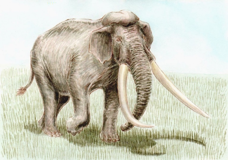straight tasked elephant art