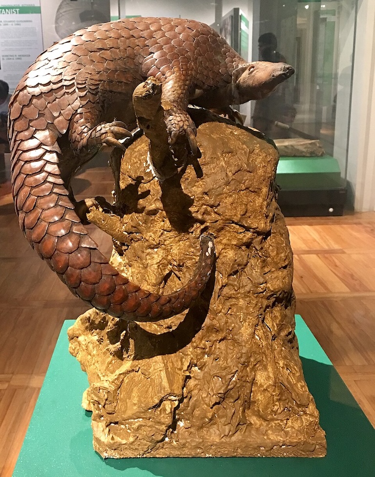 philippine pangolin replica