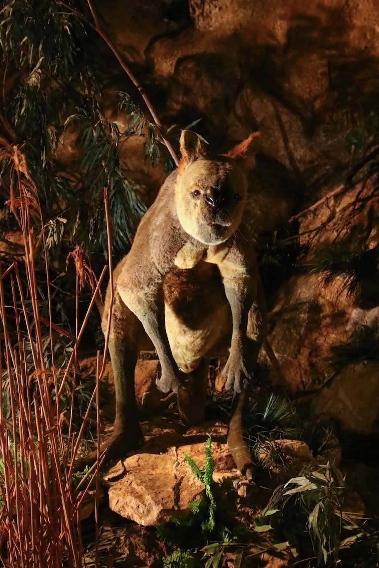 procoptodon goliah statue